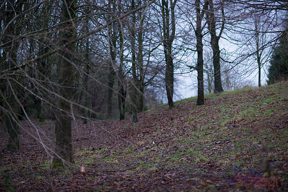 DSC_1991