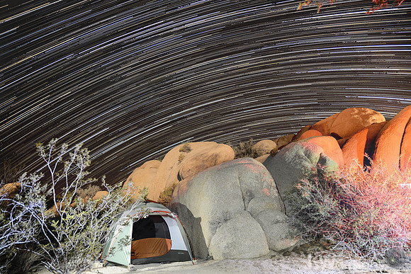 Joshua Tree Star scape_