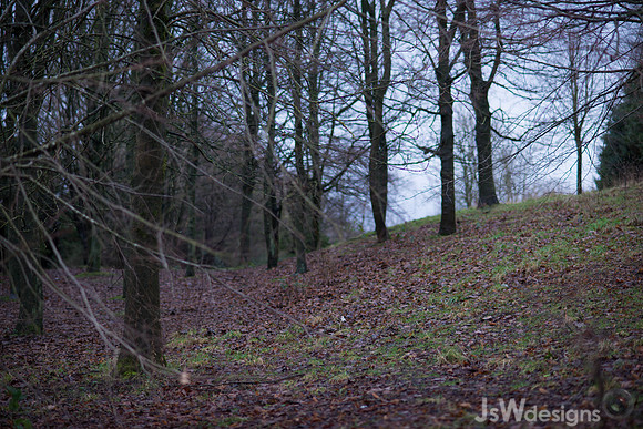 DSC_1991