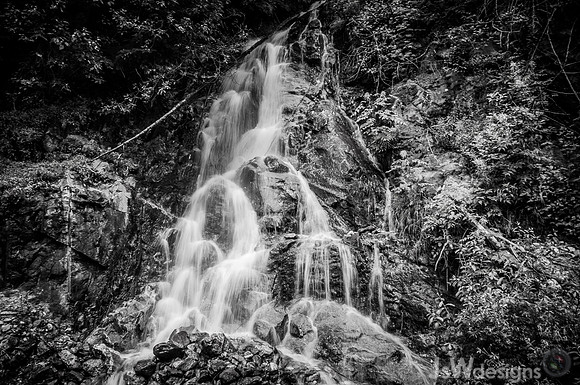 DSC_1219